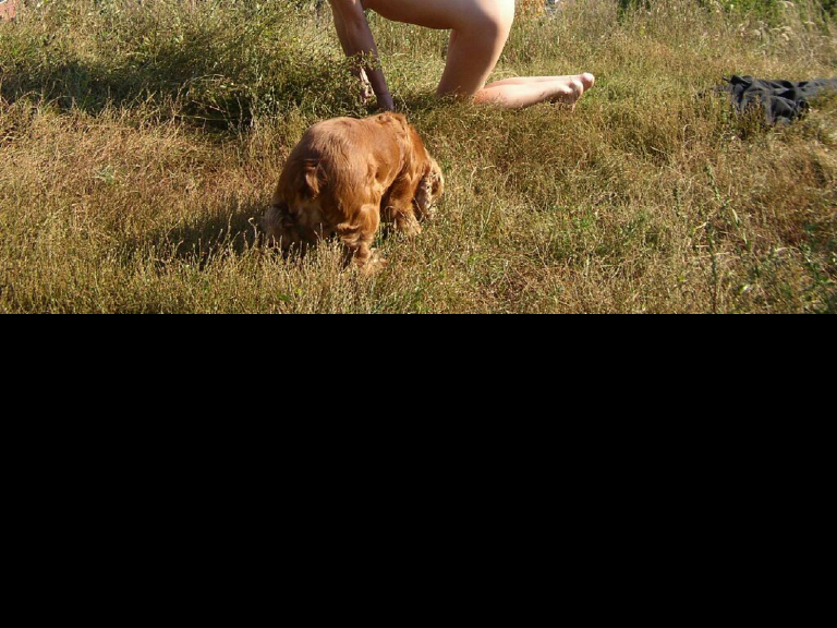 Bild 70294 von Schambereich in Kategorie Public Nude