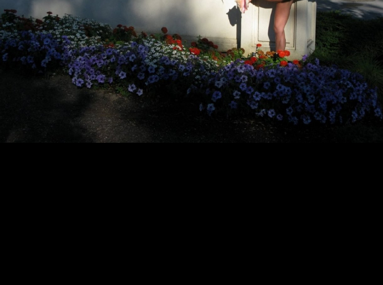 Bild 64303 von Schambereich in Kategorie Public Nude