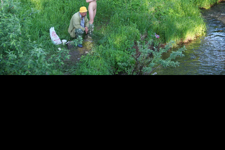 Bild 78536 von Schambereich in Kategorie CMNF