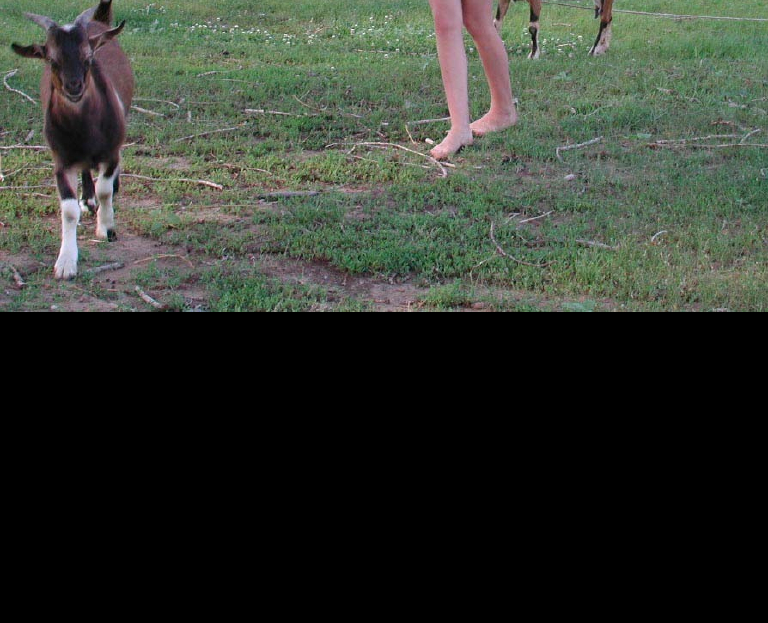 Bild 67666 von Schambereich in Kategorie Public Nude