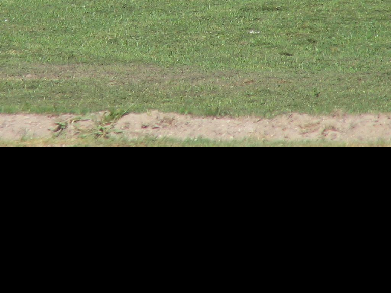 Bild 75842 von Schambereich in Kategorie Public Nude