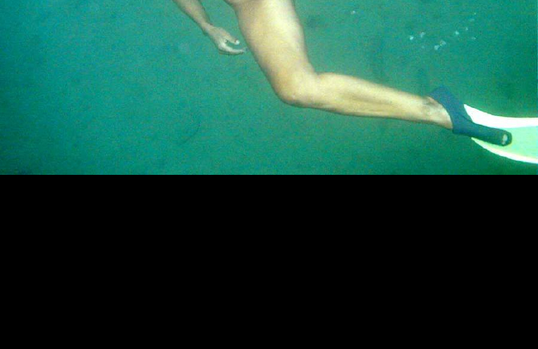 Bild 81507 von Schambereich in Kategorie Public Nude