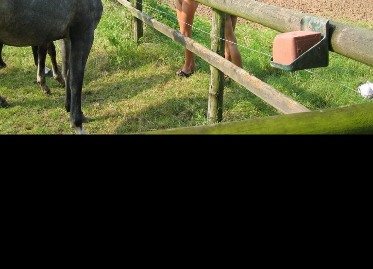 Bild 36033 von Schambereich in Kategorie Public Nude