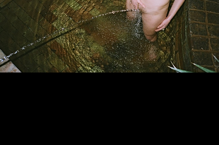 Bild 52124 von Schambereich in Kategorie Public Nude
