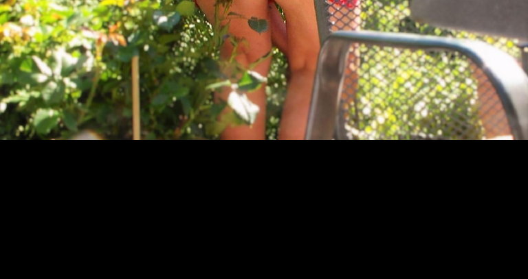 Bild 89948 von Fee in Kategorie Public Nude
