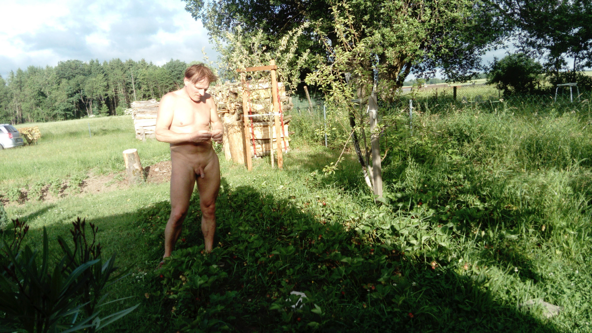 Bild 86209 von arte0103 in Kategorie Public Nude