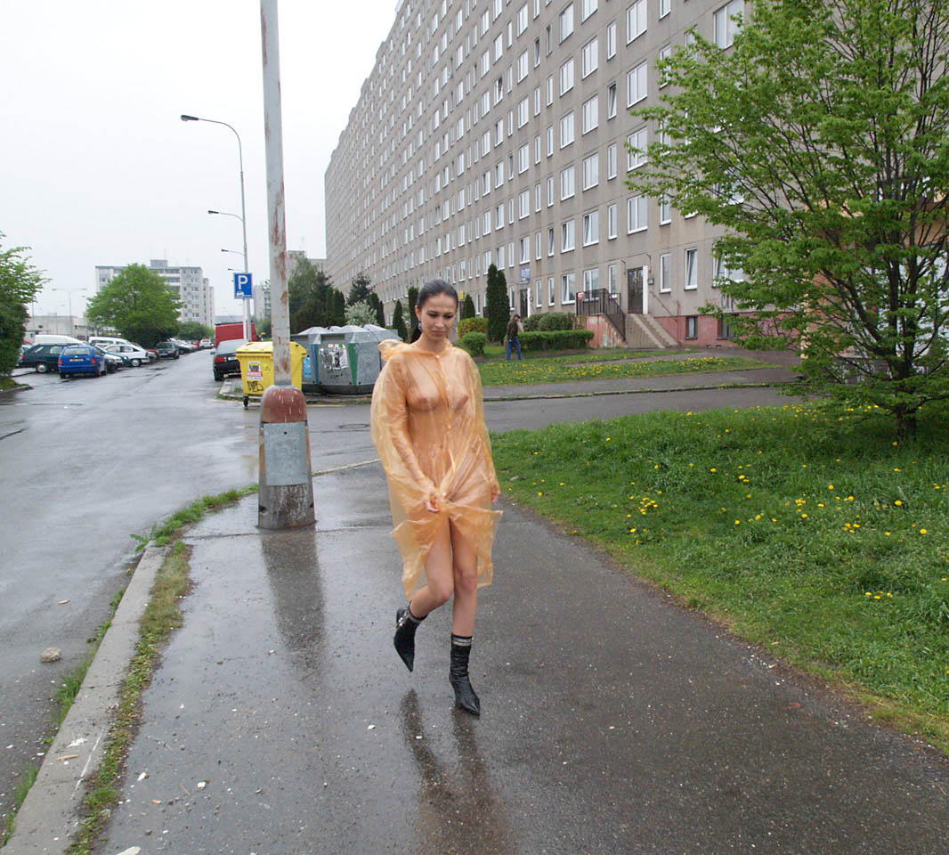 Bild 75293 von Schambereich in Kategorie Public Nude