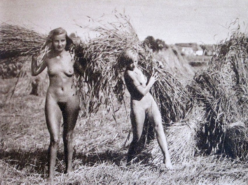 Bild 70823 von Schambereich in Kategorie Public Nude