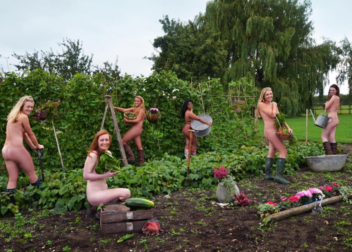Bild 68972 von Schambereich in Kategorie Public Nude